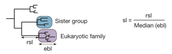 Рис. 1. Схематическое изображение метода, использованного в обсуждаемой статье