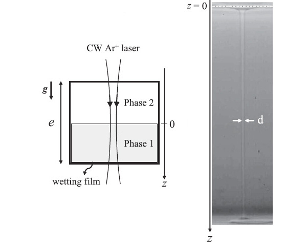 Рис. 2. Схема эксперимента и фотография жидкого оптоволокна, возникшего под действием света. Изображение из обсуждаемой статьи в Phys. Rev. Lett.