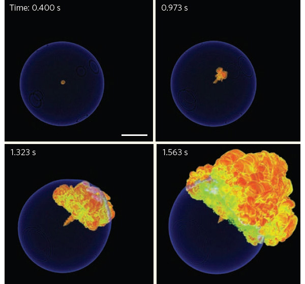 Взрыв сверхновой со смещенным центром. В модели видно, что очаг взрыва белого карлика изначально несколько смещен от центра. Это смещение приводит к тому, что с одной стороны звезды пламя и пепел от термоядерного горения улетают быстрее. Длина масштабной линейки 1000 км. Рис. из обсуждаемой статьи Daniel Kasen в Nature