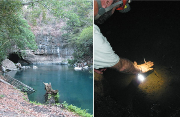 Слева исток реки Чой (Rio Choy) и справа пещера Тинаха (Tinaja), где ученые ловили зрячих и слепых пещерных рыбок