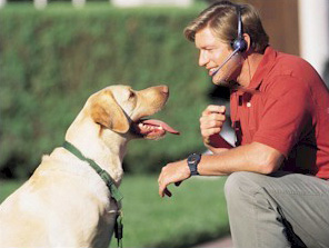 За долгие годы жизни с человеком собака научилась понимать его как никто другой (фото с сайта www.ablecomm.info)