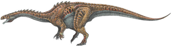 Взрослый Massospondylus carinatus (изображение с сайта www.newscientist.com)