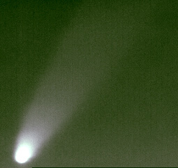 Комета McNaught (C/2006 P1) 5 января 2007 года. Фото: Александра Иванова (обработка в «Регистакс» и «Фотошоп»)