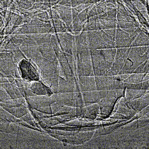 Рис. 3. Анимация защитного выстрела жука-бомбардира