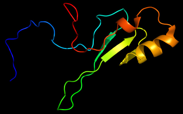 Рис. 1. Белок MeCP2, мутация в котором приводит к развитию синдрома Ретта. Изображение с сайта en.wikipedia.org