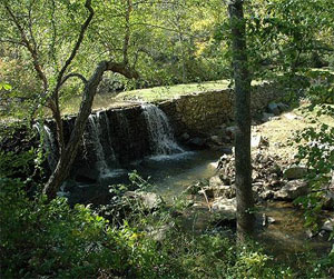 Старая дамба в Пенсильвании. Она перегораживает долину, и к настоящему времени запруда за ней почти доверху заполнена осадком. Так формировался современный ландшафт равнин Среднеатлантических штатов США. Фото с сайта environment.newscientist.com