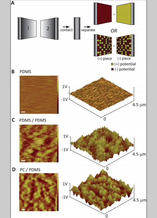 Рис. 2. (A) Возможные сценарии контактной электризации. (B)–(D) — трехмерные карты распределения электрического потенциала на поверхностях полимеров, полученные при помощи метода зонда Кельвина. Длина масштабной линейки 500 нм. Изображение из обсуждаемой статьи в Science