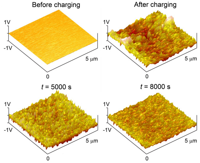 Рис. 3. Эволюция распределения потенциала поверхности полимера полидиметилсилоксана (PDMS) до начала электризации (слева вверху), через 3000 (справа вверху), 5000 (слева внизу) и 8000 (справа внизу) секунд после электризации. Изображения получены методом зонда Кельвина. Из обсуждаемой статьи в Science