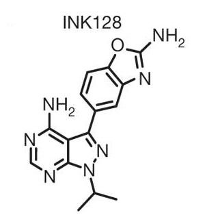 INK128 — ингибитор mTOR