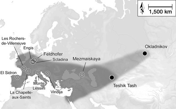 Ареал неандертальцев. Темно-серым показаны прежние представления о распространении неандертальцев, основанные на морфологии найденных костей; светло-серым — расширение ареала на восток, основанное на генетическом анализе костей из пещеры Окладникова. Кружками отмечены точки, где в ископаемых костях установлено присутствие мтДНК неандертальского типа. Рис. из обсуждаемой статьи в Nature