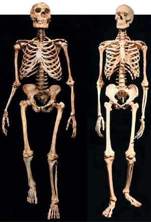 Скоро генетики смогут выяснить, какими генами обусловлены различия между неандертальцем (слева) и современным человеком (справа). Фото из обсуждаемой статьи в Science