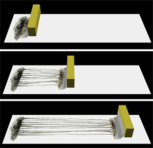 Процесс выращивания кирпичика нервной ткани (рис. Douglas H. Smith, MD, University of Pennsylvania School of Medicine)