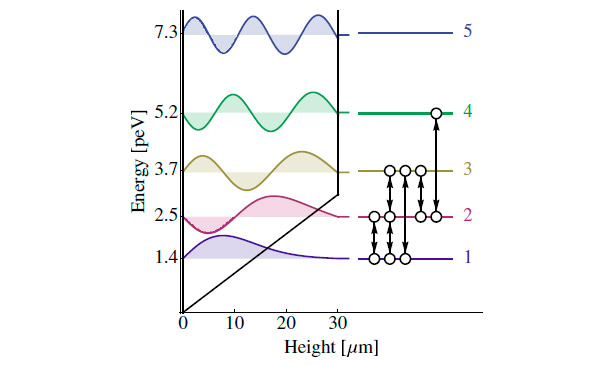 Рис. 2. Квантовые состояния нейтронов в потенциальной яме