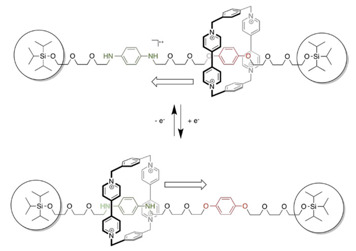 Рис. 2. Ротаксан («молекулярный поршень»)