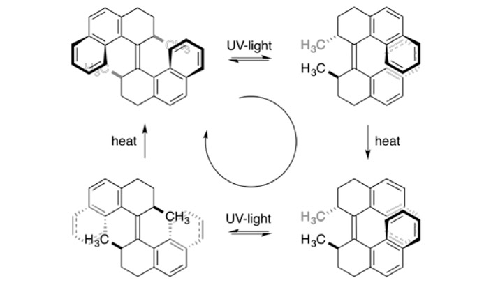 Рис. 3. Принцип молекулярного мотора Феринги