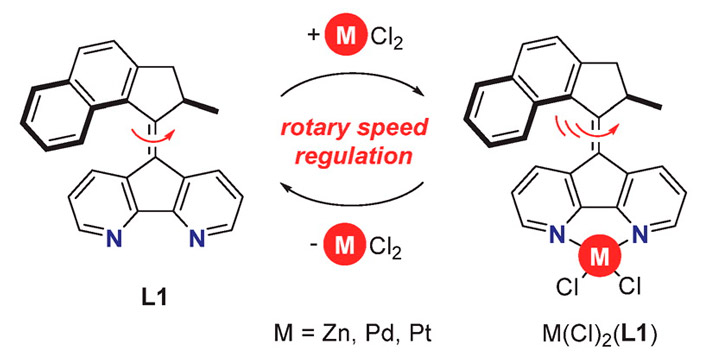Рис. 5. Ускорение вращения молекулярного мотора