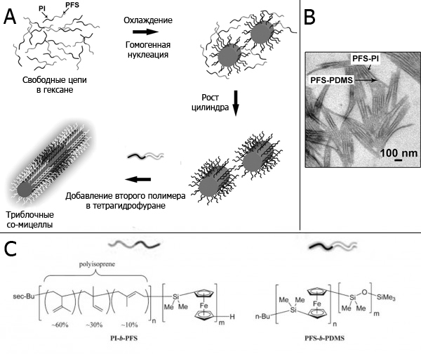 Получение цилиндрических мицелл из БСП