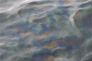 Каждый год, случайно или намеренно, в мировой океан попадают сотни тонн нефти и горюче-смазочных материалов (фото © Pierre Ryan с сайта home.thezone.net)