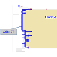 Российские образцы омикрона, взятые в декабре 2021 года