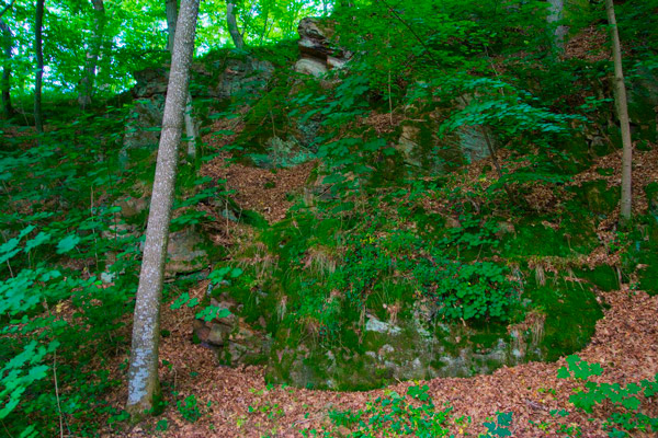 Вулканические породы свиты Djupadal