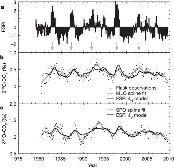 Динамика явлений Эль-Ниньо (a), представленная величиной специального индекса (чем сильнее выражено Эль-Ниньо, тем выше значение индекса; начало каждого Эль-Ниньо показано стрелками) и относительного содержания тяжелого изотопа кислорода в углекислом газе (δ18O–CO2) на Гавайях (b) и на Северном полюсе (c) за последние 30 лет. Из обсуждаемой статьи в Nature
