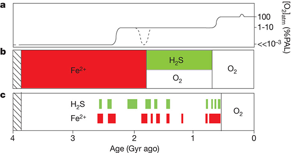 Рис. 2. Сера, железо и кислород в мировых океанических водах в архее и протерозое. a — кислородный тренд, b — господствующая модель смены железосодержащих вод сернистыми и кислородными, c — новые данные свидетельствуют о дефектности прежних моделей: сероводород и двухвалентное железо в стратифицированном океане существовали одновременно. Схема из обсуждаемой статьи Planavsky et al., 2011 в Nature