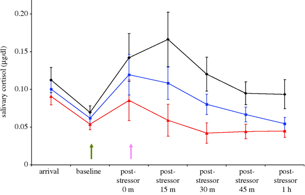 Уровень кортизола у девочек в течение эксперимента. Зеленая стрелка — выступление перед публикой, то есть стресс. Розовая стрелка — общение с мамой. Синяя линия — телефонное общение, красная — непосредственный контакт. Черная линия обозначает группу, отправленную в кино. График из обсуждаемой статьи в Proceedings of Royal Society B