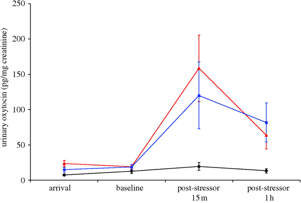 Уровень окситоцина у девочек. Синяя линия — телефонное общение, красная — непосредственный контакт. Черная линия — контрольная группа. График из обсуждаемой статьи в Proceedings of Royal Society B