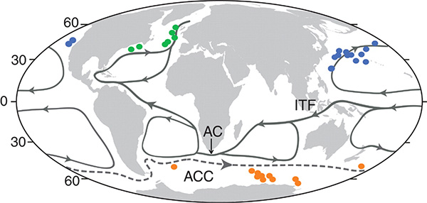 Рис. 1. Палеогеографическая реконструкция раннего плейстоцена (примерно 1,8 млн лет тому назад). На карте показаны точками места бурения дна, откуда получены пробы, использованные в данной работе (разным цветом обозначены разные океаны). Стрелками показано направление основных поверхностных течений. Наиболее вероятные пути расселения водорослей: 1) между северными умеренными секторами Атлантики и Пацифики — через Индонезийский проход (Indonesian through-flow, ITF) и течение мыса Игольного (Aghulas current, AC); 2) между Северной Атлантикой и Южным океаном — непосредственно по Атлантическому океану; 3) путь по Южному океану непосредственно к Антарктиде — по Антарктическому циркумполярному течению (Antarctic circumpolar current, ACC). Рис. из обсуждаемой статьи в Science