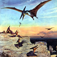 Гигантские птерозавры птеранодоны