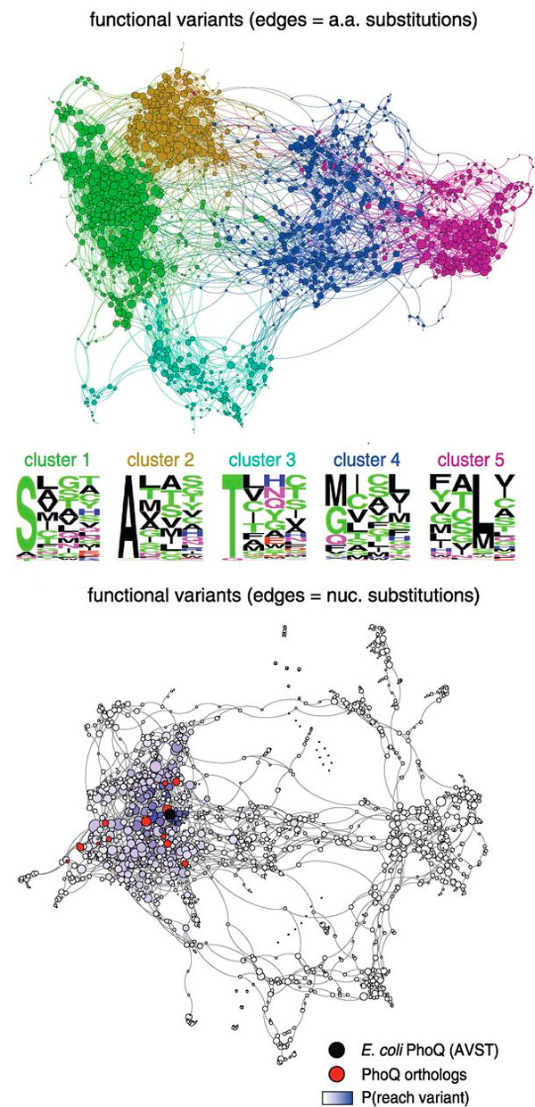 Рис. 4. Исследованная область пространства последовательностей в виде графа