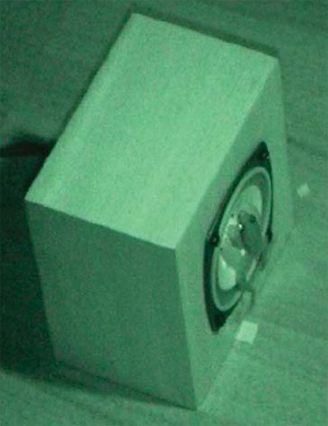 Самец ультразвуковой лягушки быстро и безошибочно находит источник манящих звуков — брачной песни самки — и в итоге оказывается точно в центре мембраны громкоговорителя. Фото из обсуждаемой статьи в Nature