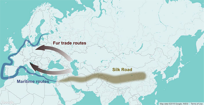 Вероятные пути распространения «черной смерти»