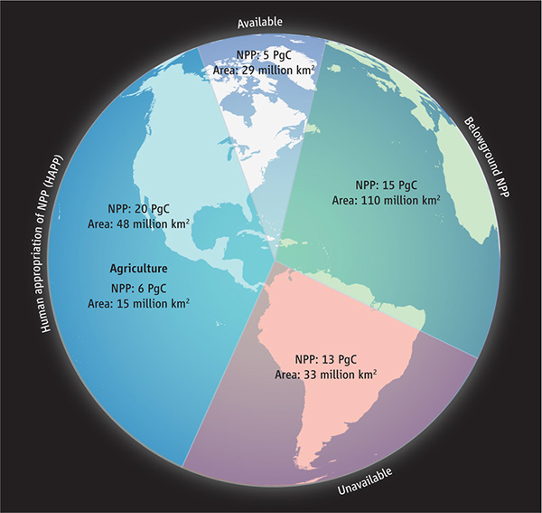 Диаграмма, показывающая соотношение доступной и недоступной для использования чистой первичной продукции суши