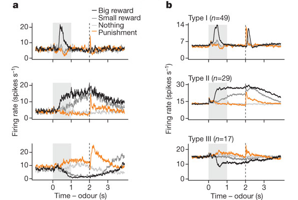 Активность (частота генерации нервных импульсов) трех типов нейронов VTA