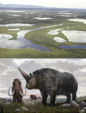 Огромные пространства, ныне занятые малопродуктивными заболоченными экосистемами тундры и тайги (вверху), всего 10-12 тысяч лет назад — в конце плейстоцена — представляли собой сухую «мамонтовую степь», кормившую многомиллионные стада крупных травоядных (внизу, © рис. Николая Ковалева; на переднем плане — гигантский ископаемый носорог эласмотерий). Сегодня плейстоценовая органика, законсервированная в вечной мерзлоте, поступает в атмосферу в виде метана, что ускоряет процесс глобального потепления (изображения с сайтов www.sciencemag.org и www.evolbiol.ru)
