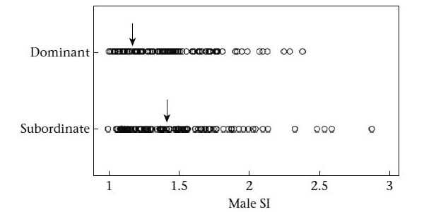 Связь между статусом самцов и формой пятен
