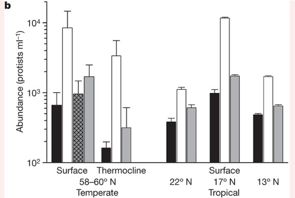 Рис. 2. Численность протистов (число клеток в 1 мл) разного типа в разных обследованных районах Атлантики. Обозначения те же, что на рис. 1. Рис. из обсуждаемой статьи в Nature