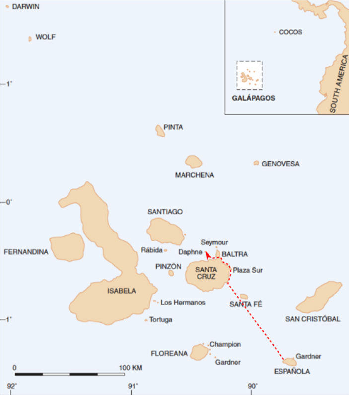 Рис. 2. Предполагаемый маршрут «отца-основателя»