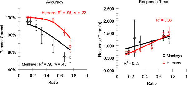 Точность (слева) и время решения задачи (справа) у макак и у людей. По оси x отложено отношение правильной суммы к ошибочной: чем разница больше, тем меньше их отношение. На графиках видно, что чем больше разница между правильной и неправильной суммой, тем точнее ответы (у студентов при большой разнице все ответы правильные). Также если разница высокая, то и скорость ответов увеличивается. График из обсуждаемой статьи в PLoS Biology