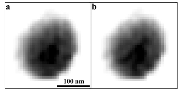 Рис. 3. Рентгеновские изображения вируса, «расшифрованные» методом GHIO (см. описание в тексте). Малое отличие между изображениями указывает на корректный анализ данных электронной плотности внутри вируса. Рис. из обсуждаемой статьи arXiv:0806.2875