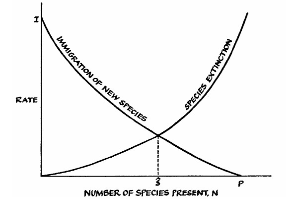 Рис. 1. Модель установления равновесного числа видов на острове в результате заселения его новыми видами (Immigration of new species) и одновременно происходящего вымирания видов (Species extinction)