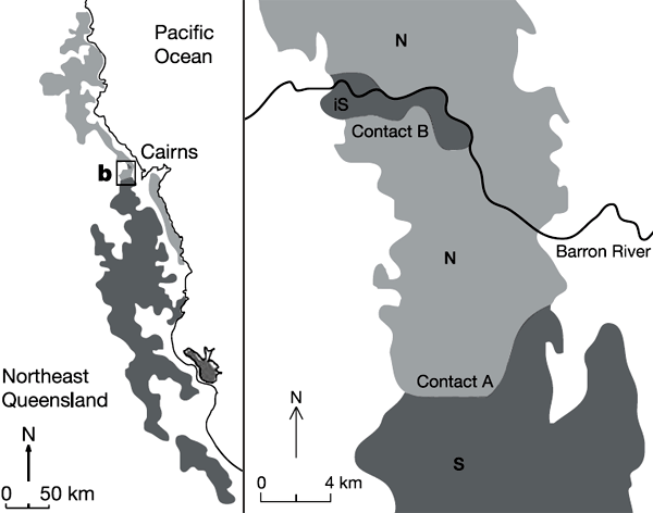 Рис 2. Район исследований (северо-восточная часть Квинсленда, Австралия). Справа показаны районы обитания «южной» (S — выделено темно-серым) и «северной» (N — выделено светло-серым) популяций зеленоглазой древесной лягушки. Рис. из статьи: Hoskin et al. // Nature. 2005. V. 437. P. 1353–1356