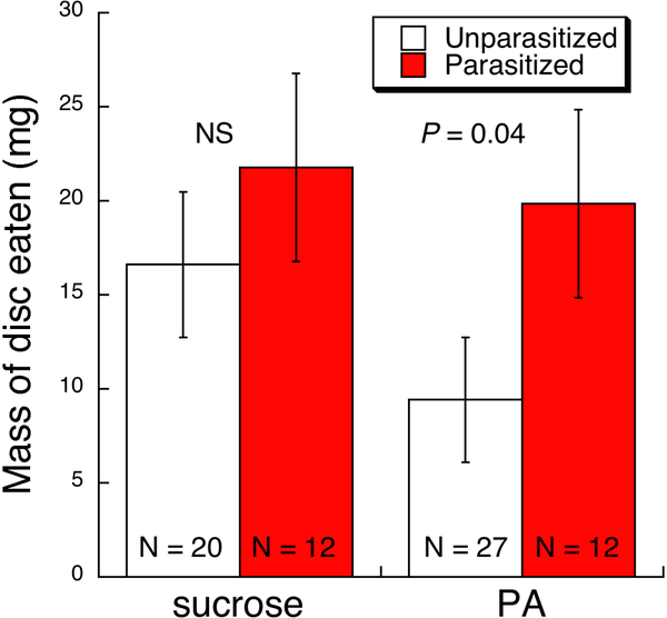 Масса (в миллиграммах, ± стандартное отклонение) фильтровальных кружков, пропитанных сахарозой (sucrose) и пирролизидиновым алкалоидом (PA), которые потребляли в лабораторных условиях незараженные (белые столбцы) и зараженные (красные столбцы) гусеницы. Статистически достоверной разницы в потреблении сахарозы не отмечено, в то время как алкалоида зараженные гусеницы потребляют достоверно больше. Рис. из обсуждаемой статьи в PLoS ONE