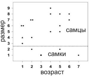 Зависимость размера тела от возраста у парантропов. Рис. из обсуждаемой статьи в Science