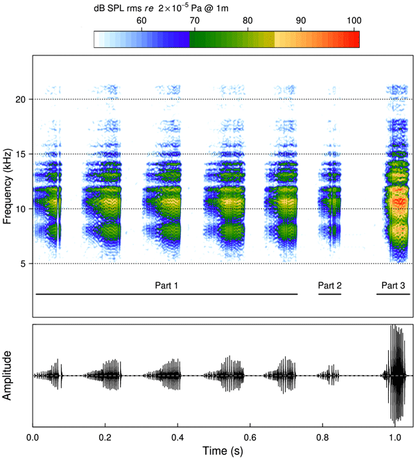 Рис. 2. Призывный сигнал самца Micronecta scholtzi. Вверху — спектрограмма (изменение частоты звука от времени), внизу — осциллограмма (изменение амплитуды звука от времени). Рисунок из обсуждаемой статьи в PLoS ONE