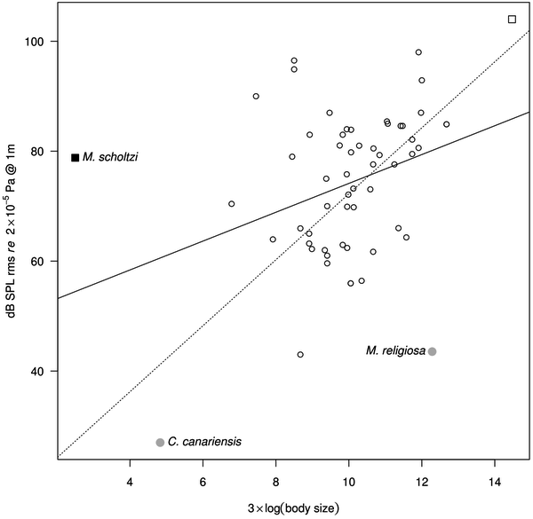 Рис. 3. Регрессия между размерами тела и уровнем звукового давления у наземных (кружки) и водных (квадратики) животных. В данный анализ включены 57 видов членистоногих и один вид рыбы. Рисунок из обсуждаемой статьи в PLoS ONE