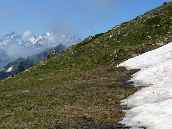 Место проведения исследований в Тебердинском заповеднике. Высота 2800 м. Под тающим снегом — растения хохлатки. Фото В Г. Онипченко. Снимок любезно предоставлен автором