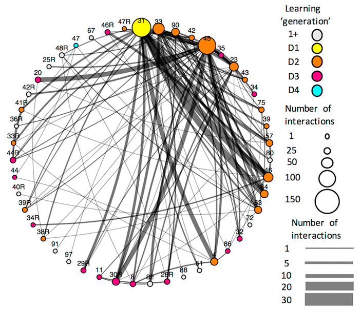 Рис. 3. В такой последовательности шмели одной из колоний перенимали навык вытягивания кормушки из-под столика