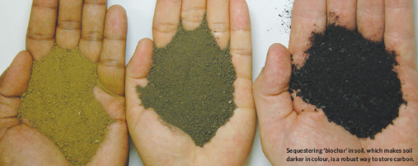Слева — горсть чистой земли, справа — древесного угля, а посередине — смесь земли и древесного угля. Фото © Lehmann из обсуждаемой статьи в Nature